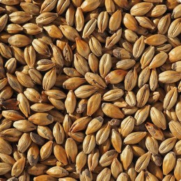 Aroma malt (Castle Malting) Lösvikt