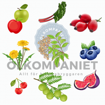 Startkit för vintillverkning - frukt och bär - 15L