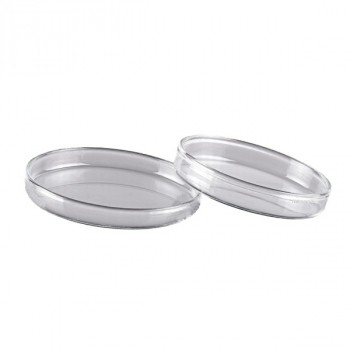 Petriskål 100x15mm - plast