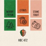 Humle HBC 472 100g Finest