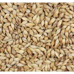 Barke Munich (Weyermann®)