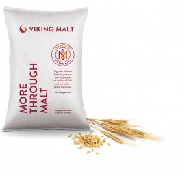 Pale Ale Hel 25kg Viking Malt