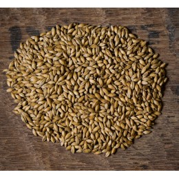 Maris Otter Pale Ale (Bairds) Lösvikt